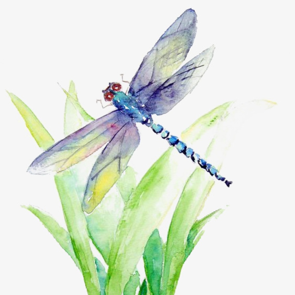 Meet your Posher, Marissa